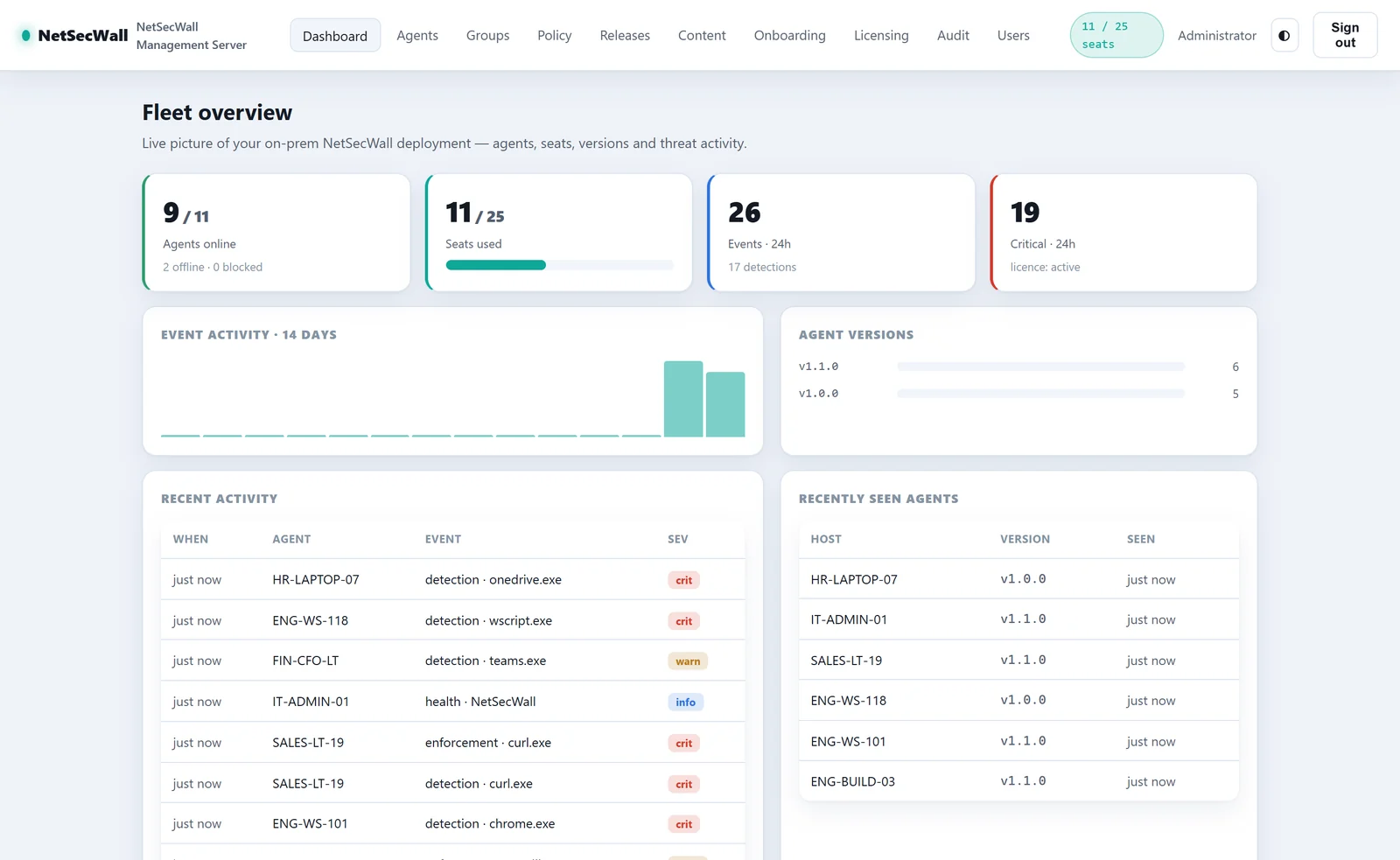 The Fleet overview dashboard of the Management Server console