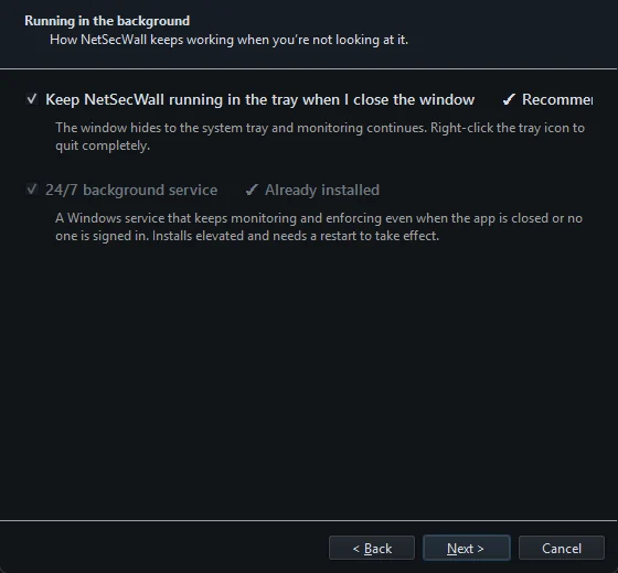 Page 4 of the setup wizard with the tray option and the background service option